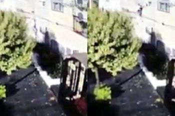 le salio mal: ?hombre arana? intento robar un departamento y lo bajaron de un golpe
