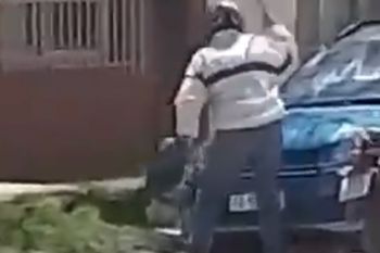 pinas y destrozos: dos discusiones de transito en bahia blanca que se hicieron viral