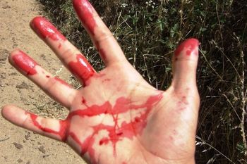 femicidio en florencio varela: mato a la expareja y se entrego en la comisaria
