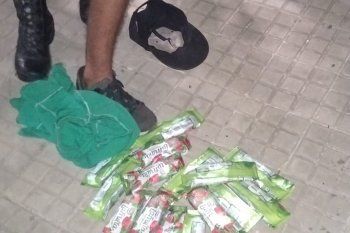 Cuatro ladrones robaron helados de un kiosco y cayeron