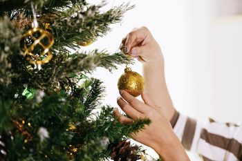 Cuánto cuesta armar el árbol de Navidad en 2023.