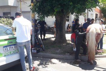 la plata: los caballochorros volvieron con todo