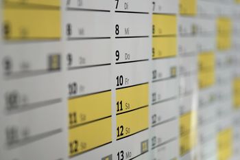El feriado de noviembre generará un fin de semana largo