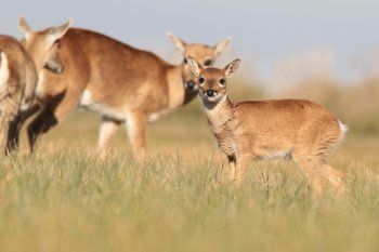 dia de los parques nacionales: conoce los parques de la provincia