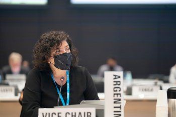 Carla Vizzotti disertó en la 150° reunión del Consejo Ejecutivo de la Organización Mundial de la Salud (OMS).