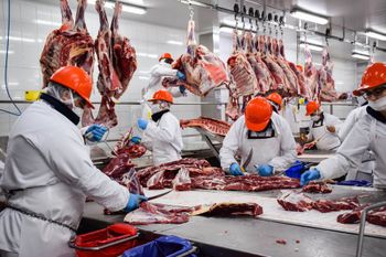¿por que la carne vacuna aumento mas que la inflacion?