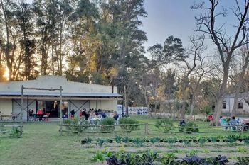 Búsqueda del Tesoro y té en Uribelarrea: una curiosa puerta de entrada para recorrer el pueblo