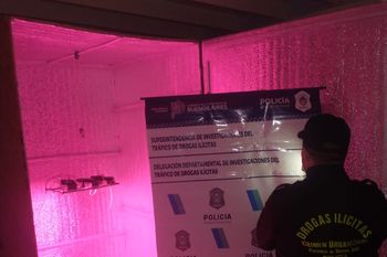 La investigación se inició en junio pasado por una denuncia anónima