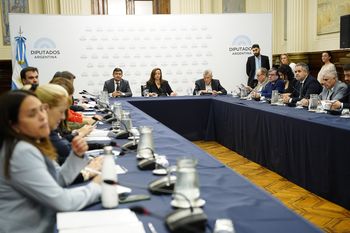 En tanto que se espera la sentencia por el aberrante crimen del niño Lucio Dupuy, la presidenta de la Cámara de Diputados pidió tratar el proyecto.