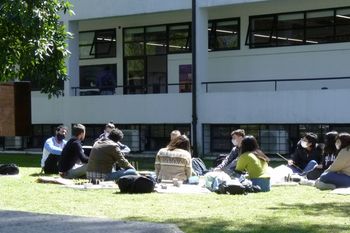 Este lunes comenzó la inscripción para todas las carreras de la UNLP