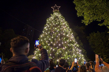 mar del plata: feria navidena, musica y mas actividades para disfrutar en diciembre