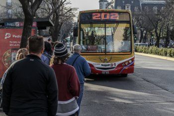 la plata: refuerzan protocolos en el transporte publico
