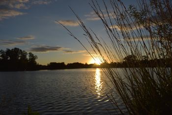 Laguna de Ratto, un espectáculo natural dentro del pueblo de Roque Pérez.