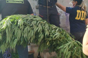 El allanamiento fue en la calle Aguilera al 2528 de Tandil. Hallaron marihuana