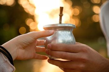 El lado B del mate: qué precauciones tener y qué síntomas provoca su consumo en exceso