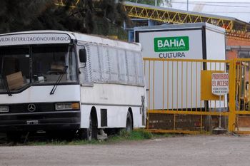 bahia blanca: denuncian muertes de perros y gatos