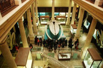 Una Noche en los Museos: uno por uno de las instituciones que participarán en esta edición