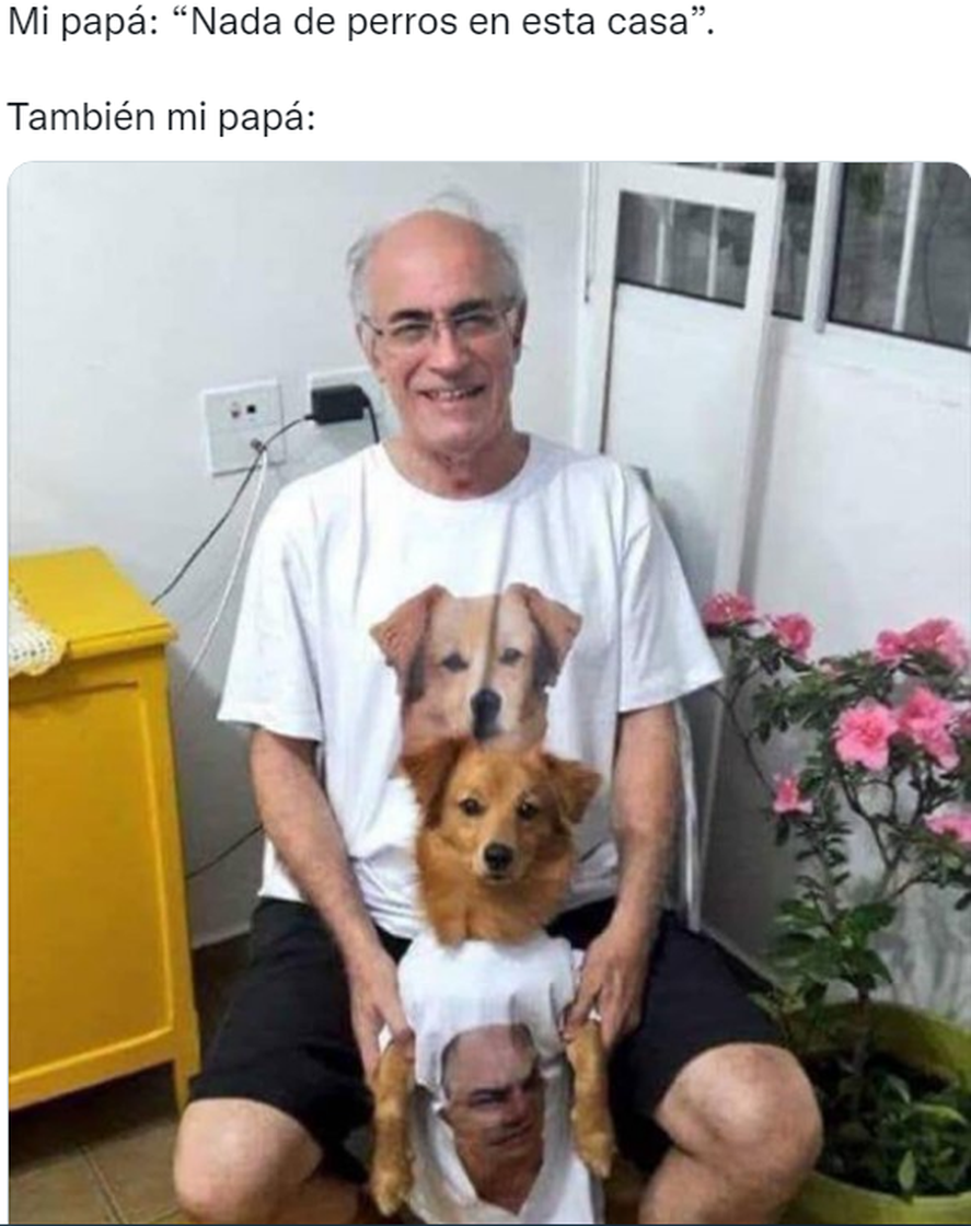 memes de papa