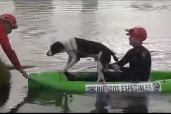 El rescate del perro susedió este domingo por la taarde.