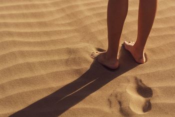 La segunda edición de PreViaje superó los 2,5 millones de turistas