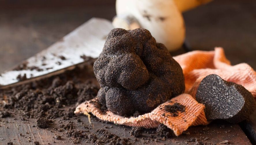 Fiestas en la provincia: te traemos cuatro recomendaciones para degustar lo mejor de la gastronomía bonaerense durante este fin de semana largo. 