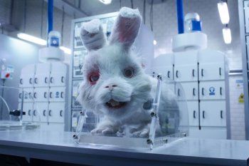 El corto Save Ralph puso bajo la lupa la experimentación en animales