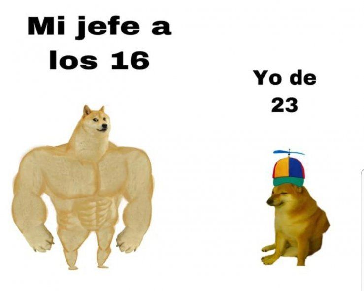 El meme original de los perros que hoy son juguetes era con este mismo texto pero escrito en inglés 