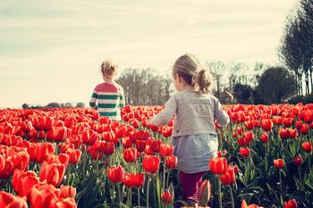 Día de la Primavera: ¿Cómo estará el tiempo en la Provincia?