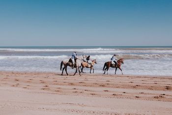 Verano en Monte Hermoso: 4 motivos para visitar el municipio bonaerense 
