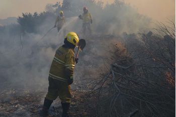 Bomberos trabajan para apagar el fuego en villa gesell (foto gentileza de Minuto G)