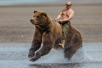 la fuente de nelson castro dice que el oso de putin esta amaestrado