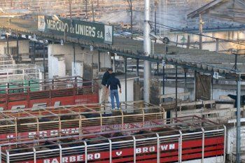 carne: la maniobra de coto que puso en alerta al gobierno