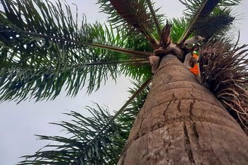 semana corta ¿con tormentas? como sigue el tiempo