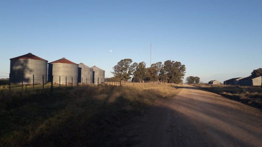 Quiñihual