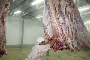 Fin de la media res: Para el Gobierno no hay  vuelta atrás, pese a las quejas de frigoríficos