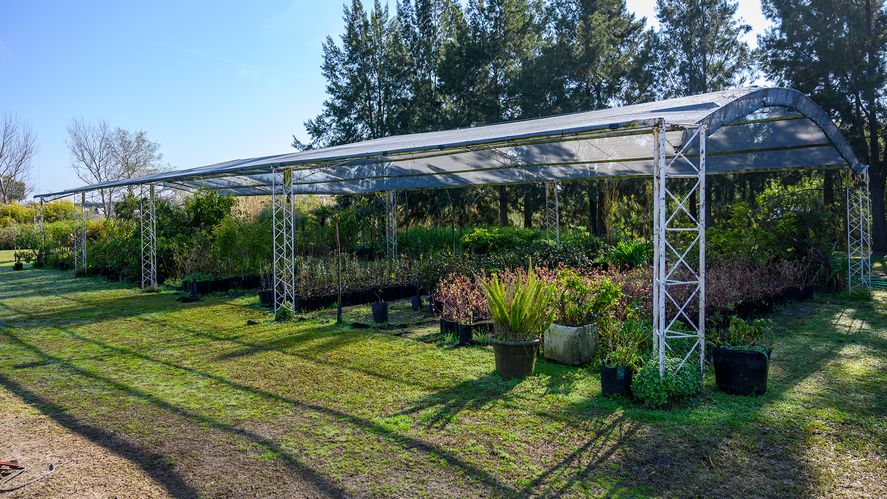 El predio del CEAMSE en Villa Domínico ahora se usa para producir plantas nativas.