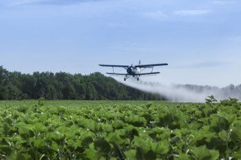 Pergamino: Triunfo ambiental y revés para el Municipio por las fumigaciones (Foto ilustración)