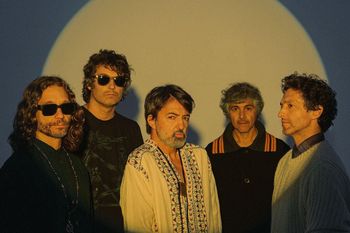 mar del plata: banco provincia cierra su bicentenario de la mano de babasonicos