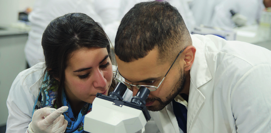 El Gobierno de la provincia de Buenos Aires aumentó las Becas de Entrenamiento 2023 de la Comisión de Investigaciones Científicas.