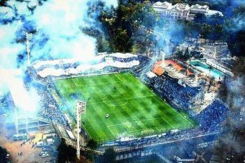 gimnasia: ¿que pasara con las obras en el bosque?