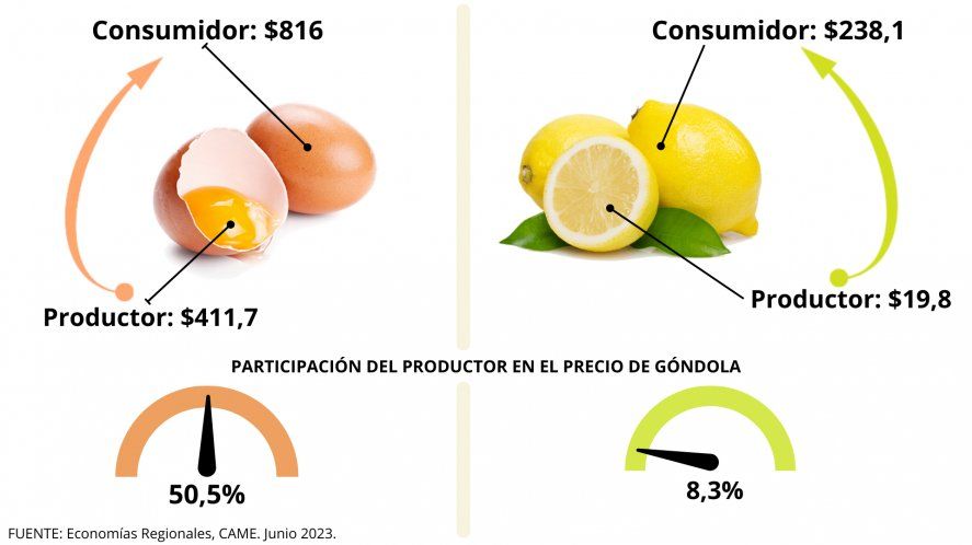 El huevo fue el producto que tuvo mayor participación de los productores en el precio final. El limón quedó en el otro extremo de la table.