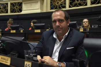 grave: diputado de carrio reivindico el trabajo infantil