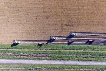 arba detecto evasion por $354 millones proveniente del campo