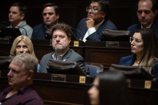 El diputado provincial Diego Garciarena en la Legislatura.