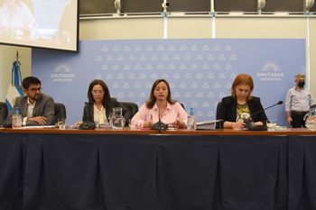 La presidenta de la Comisión de Legislación General de Diputados, Cecilia Moreau, encabezó el debate de la Ley de Alquileres