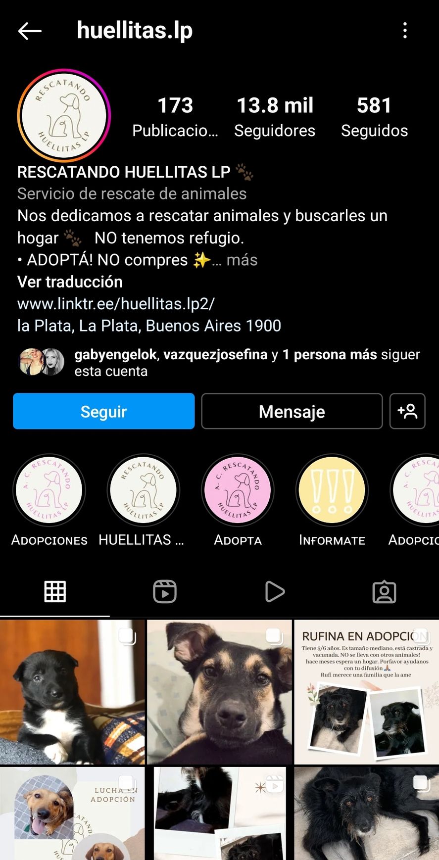 El Instagram del refugio para perros acusado de discriminación hacia los habitantes del populoso barrio de Villa Elvira 
