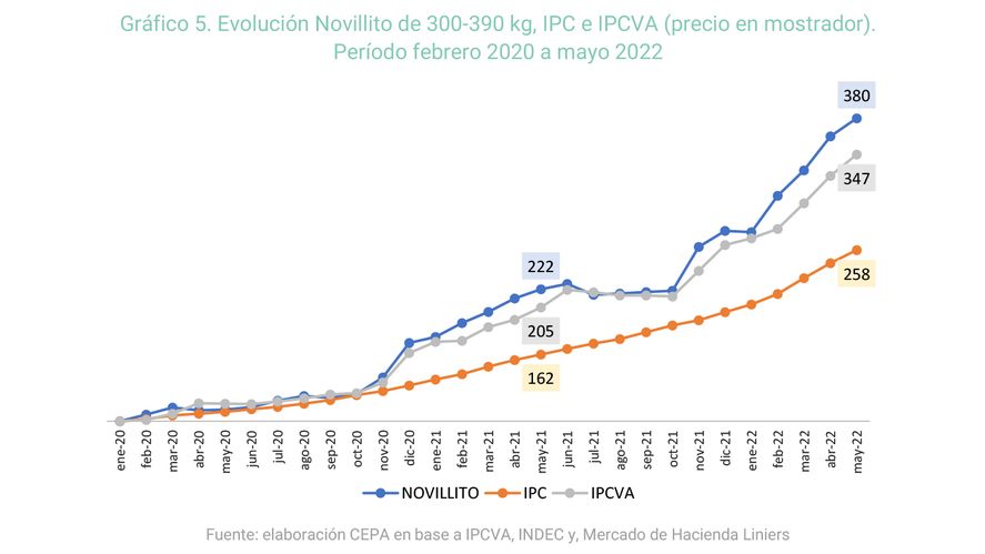 Evolución del precio de la carne respecto de la inflación. CEPA