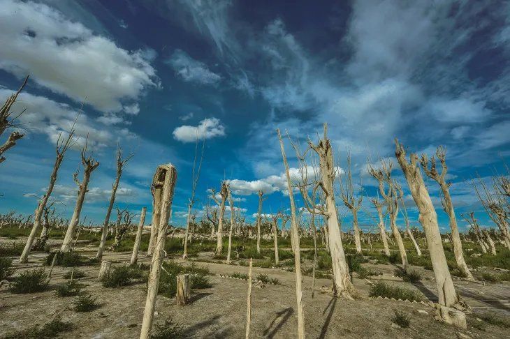 El agua comenzó a dejar las ruinas al descubierto en 2004.