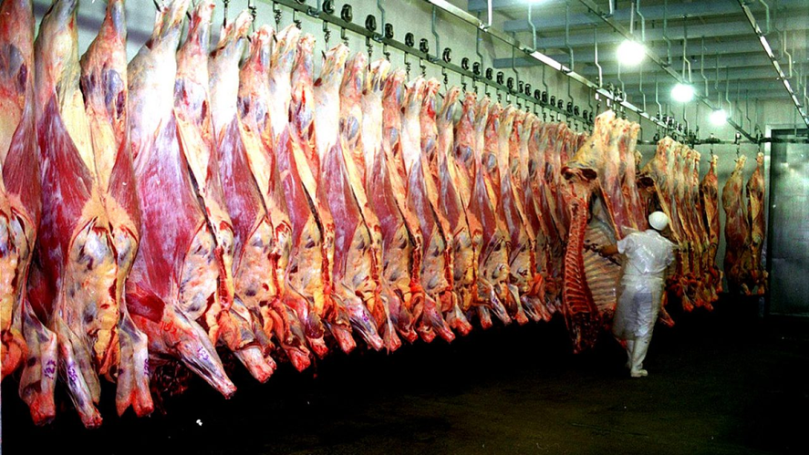 El cuello de botella en el ingreso de animales o reses influye en la inflación