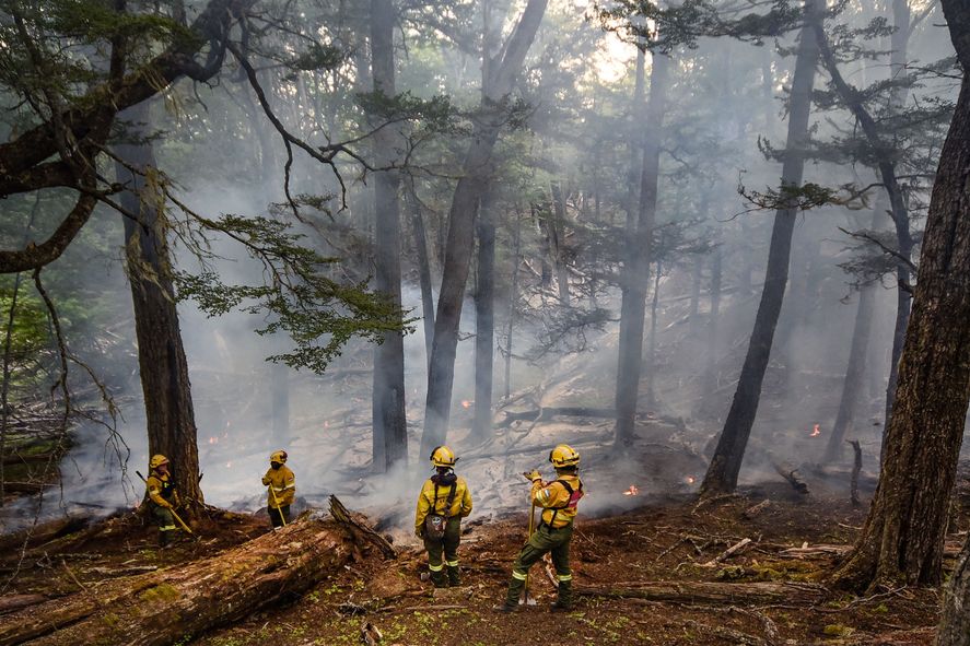 Los incendios forestales son la problemática que año a año aqueja a los vecinos de la Patagonia Argentina. Juan Grabois jamás se expidió al respecto.